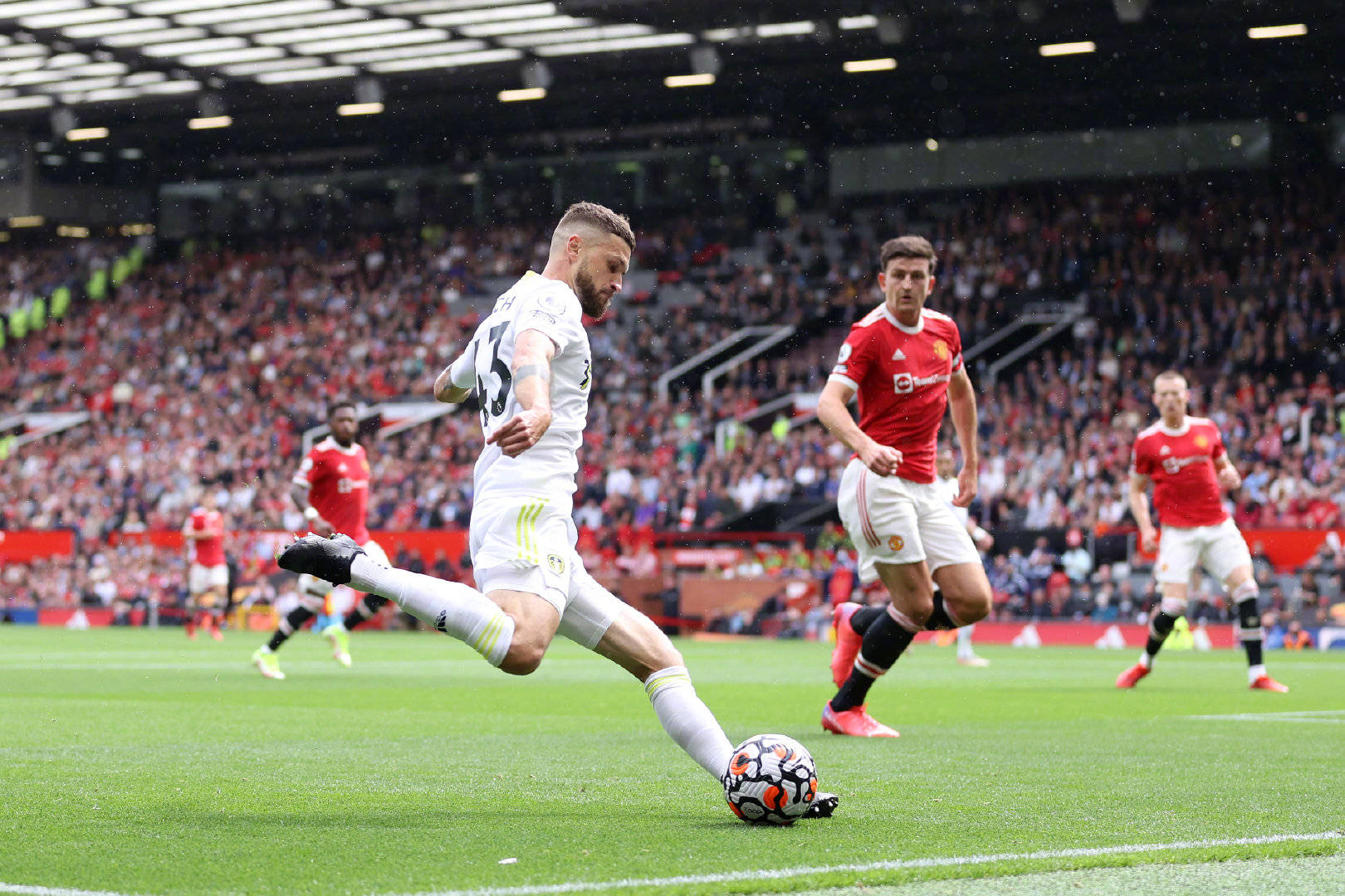 观众对优质 观众对优质